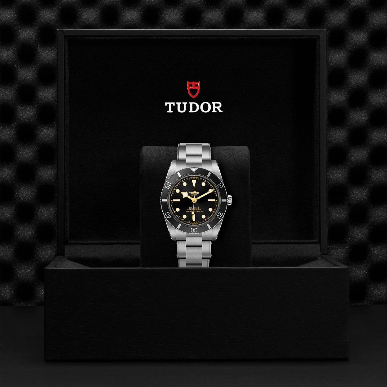 Tudor | Black Bay 54 | M79000N-0001 | Maison Birks